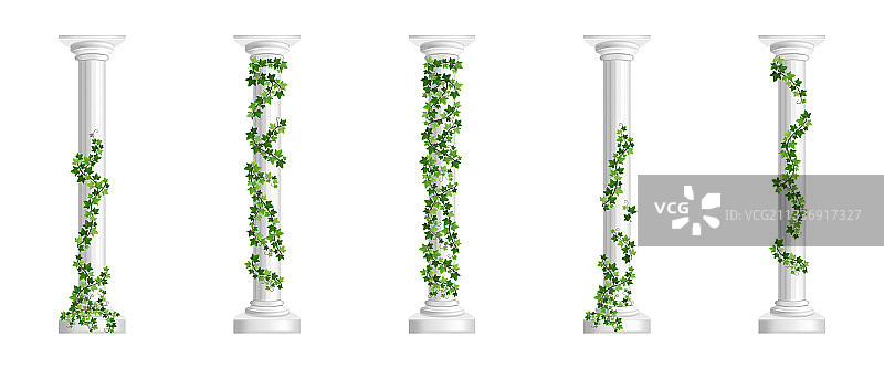 带有绿色常春藤的大理石希腊柱图片素材