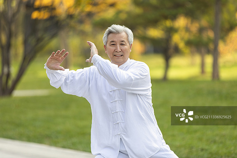 老年男子在公园练太极图片素材