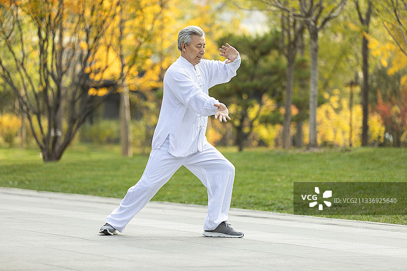 老年男子在公园练太极图片素材