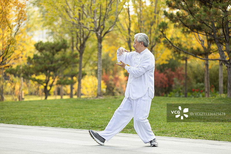 老年男子在公园练太极图片素材