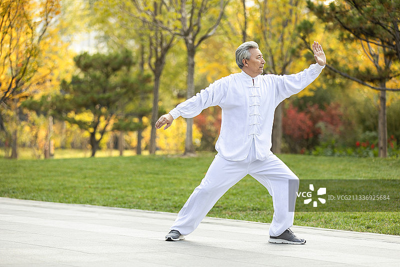老年男子在公园练太极图片素材