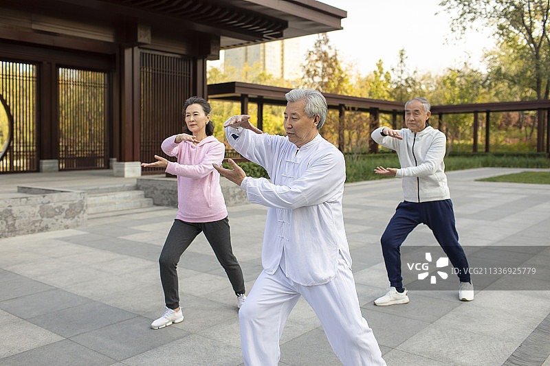 老年人在公园练太极图片素材