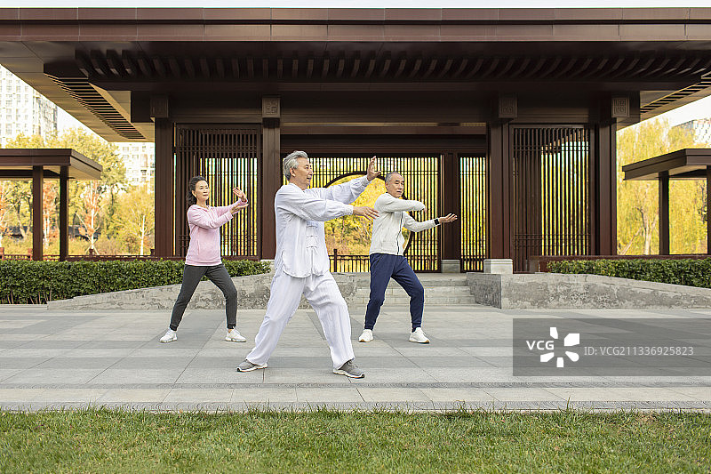 老年人在公园练太极图片素材