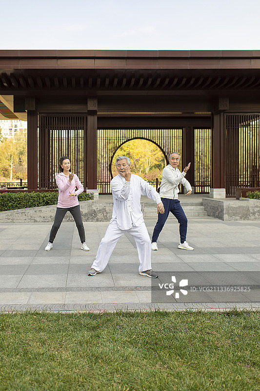 老年人在公园练太极图片素材