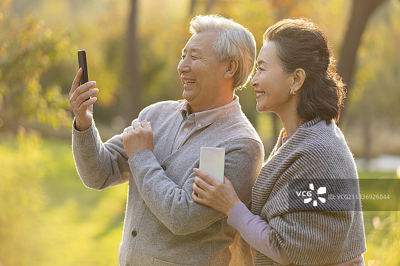老年夫妇在公园使用手机图片素材