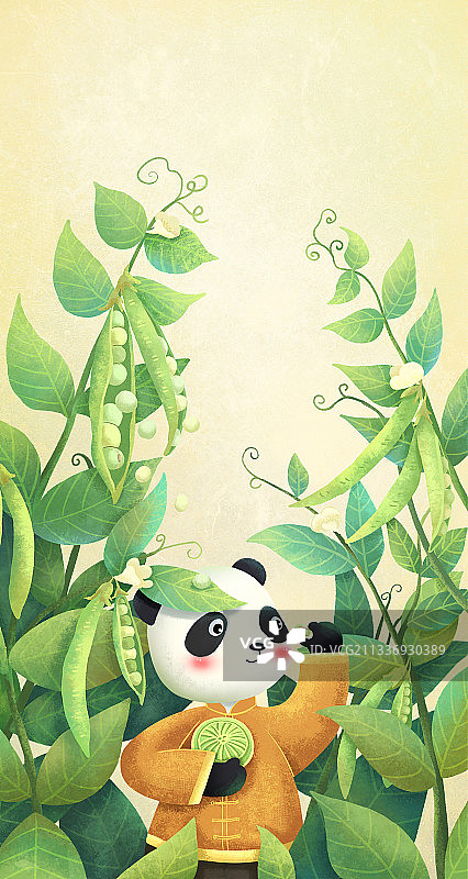 绿豆糕包装图片素材