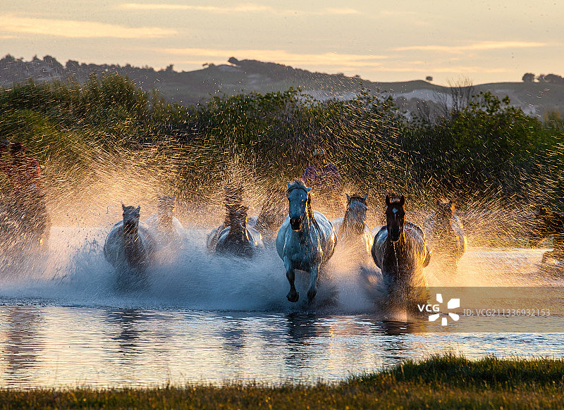 马踏水花二图片素材