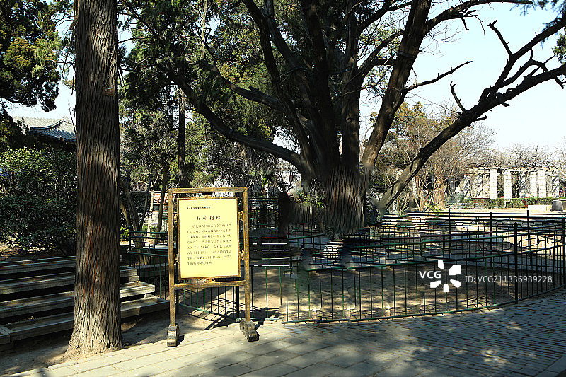 中国山东曲阜三孔之孔府图片素材