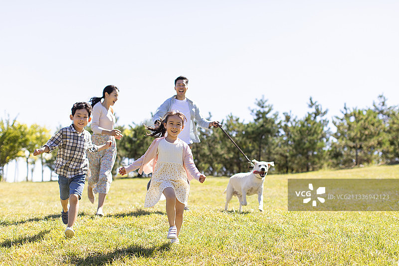 快乐的年轻家庭在草地上遛狗图片素材