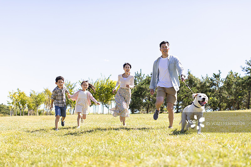快乐的年轻家庭在草地上遛狗图片素材