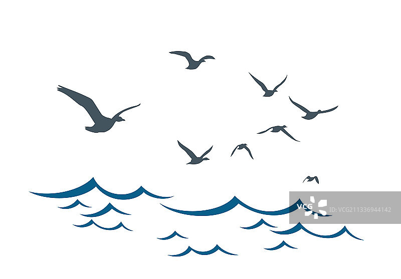 蓝色大海飞鸟图片素材