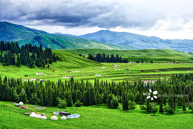 新疆伊犁唐布拉草原图片素材