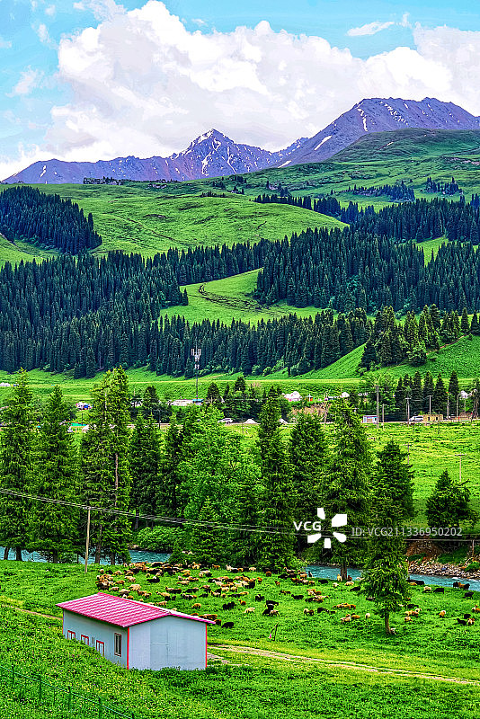 新疆伊犁唐布拉草原图片素材