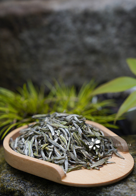 白茶白毫银针图片素材