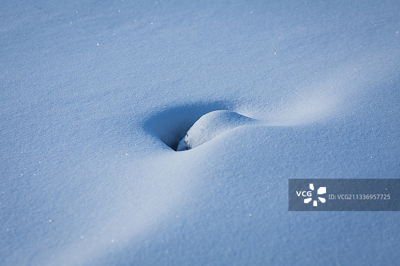雪，冬天，小品，雪趣图片素材