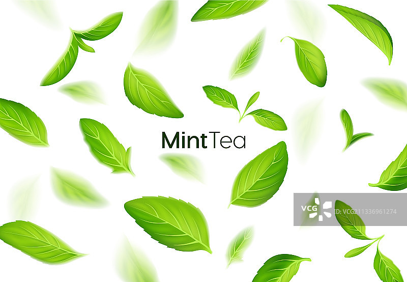 逼真的新鲜薄荷茶与绿叶图片素材