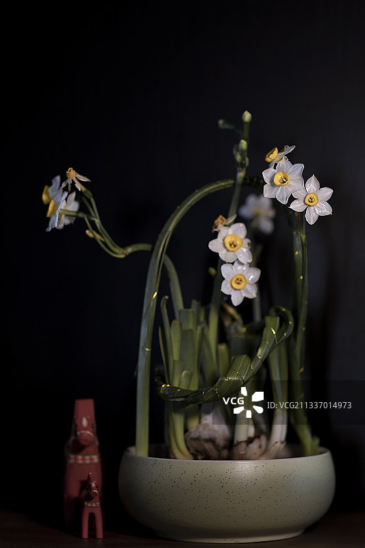 春信三折白云开图片素材