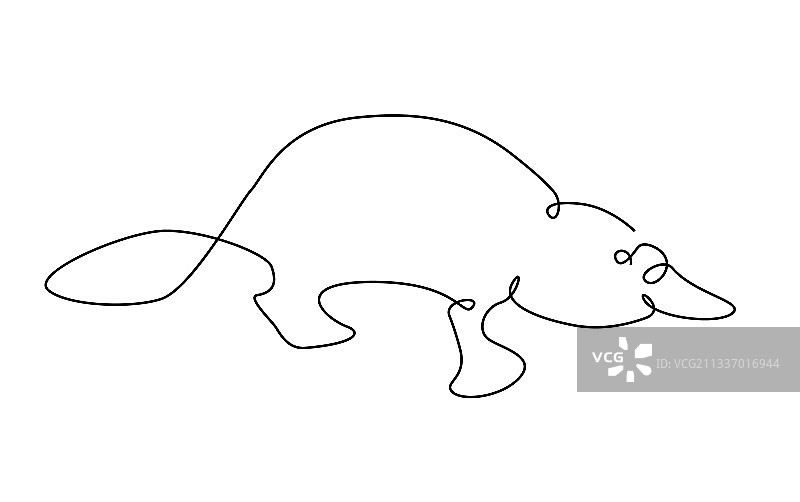 鸭嘴兽单线轮廓图图片素材