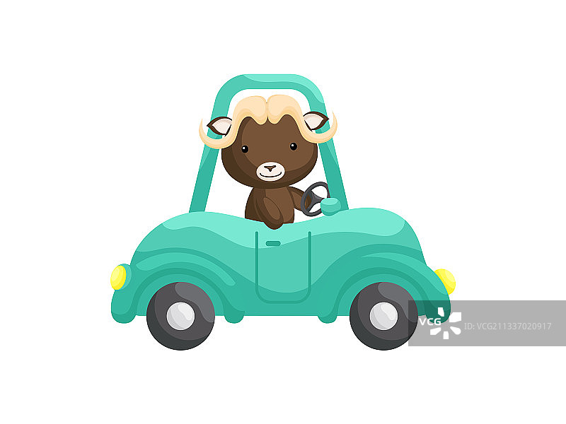 驾驶祖母绿汽车的可爱小麝牛卡通形象图片素材