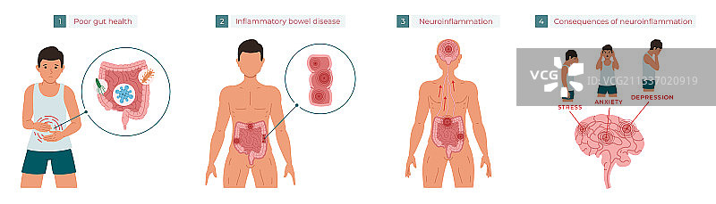 不良肠道健康导致慢性炎症图片素材