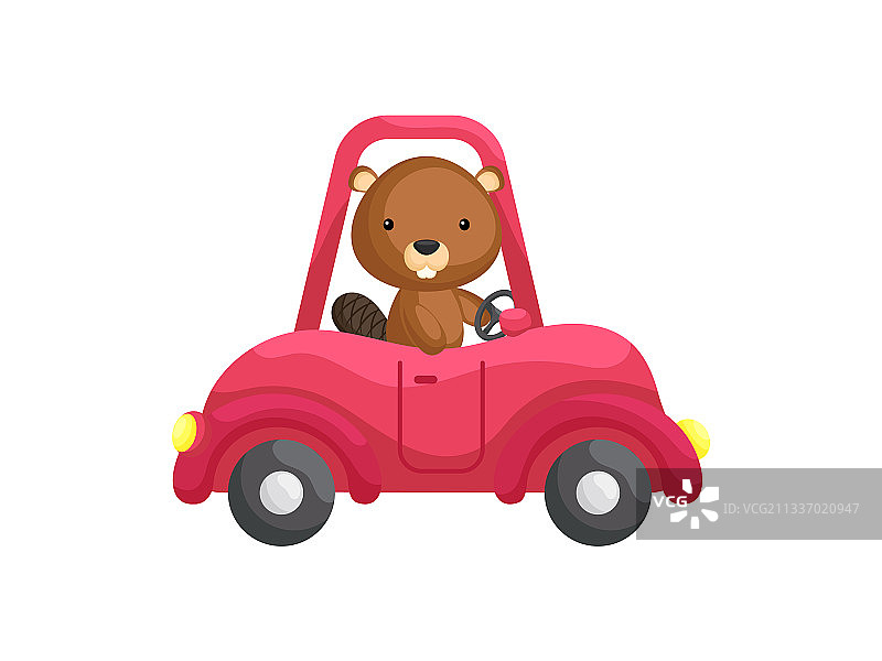 驾驶红色汽车的可爱小海狸卡通图片素材