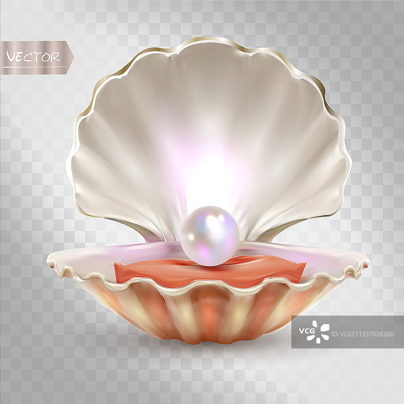 3D打开的贝壳与闪亮珍珠图片素材