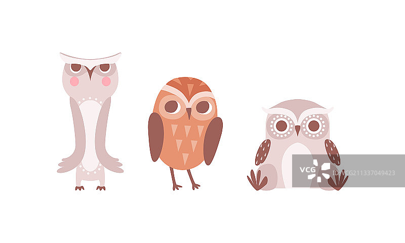 有趣的猫头鹰滑稽夜间鸟类图片素材