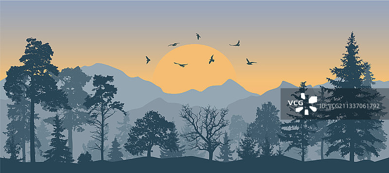 背景是美丽山脉的森林图片素材