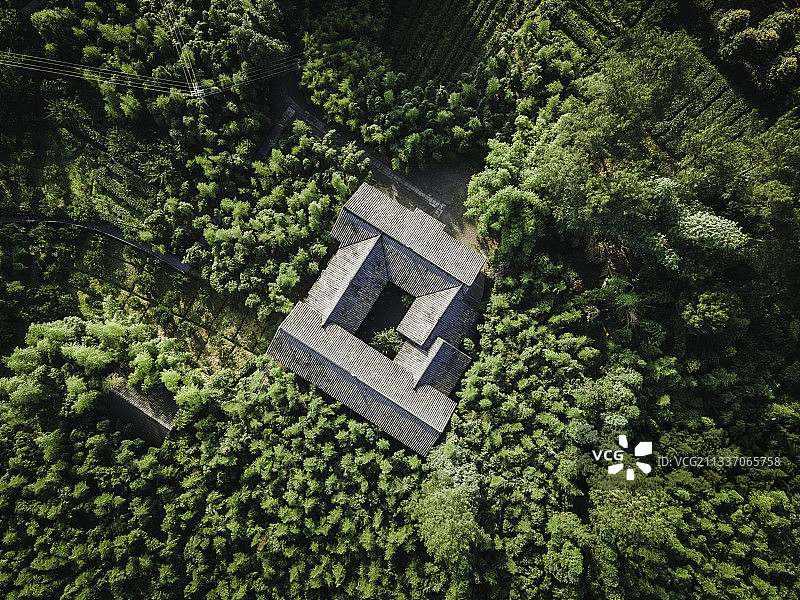 竹林里的小屋图片素材