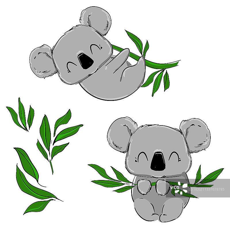 手绘可爱考拉与桉树图片素材