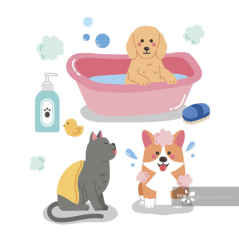 猫狗洗澡图片素材