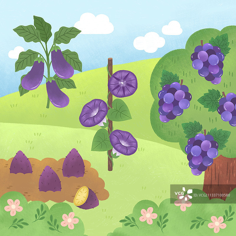 儿童紫色物体颜色教育图片素材