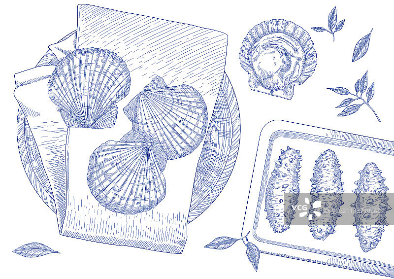 海参、扇贝、钢笔画风格的海鲜图片素材
