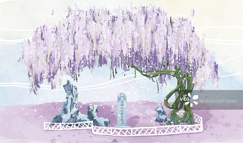 拙政园风景插画 紫藤图片素材