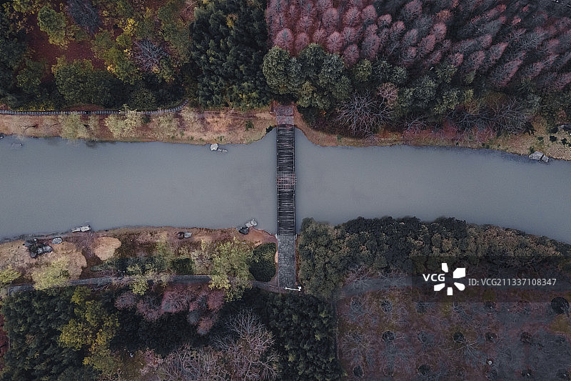 闵行滨江湿地公园图片素材