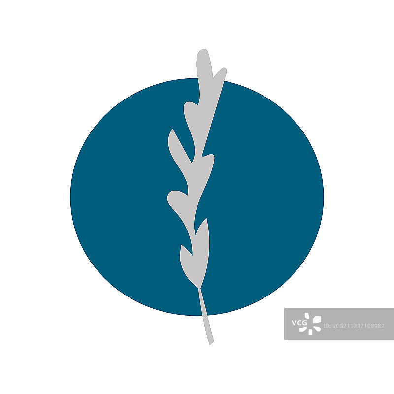 彩色圆形背景上的花朵轮廓图片素材