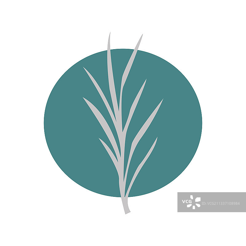 彩色圆形背景上的花朵轮廓图片素材