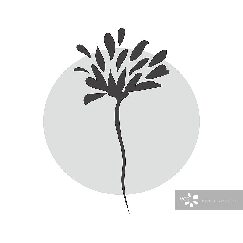 彩色圆形背景上的花朵轮廓图片素材