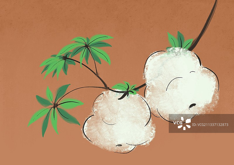 一支棉花图片素材