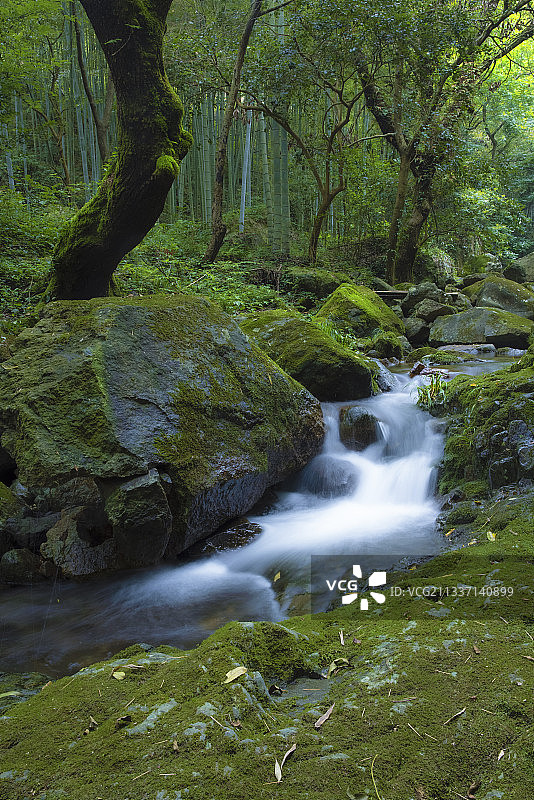 山谷清泉图片素材