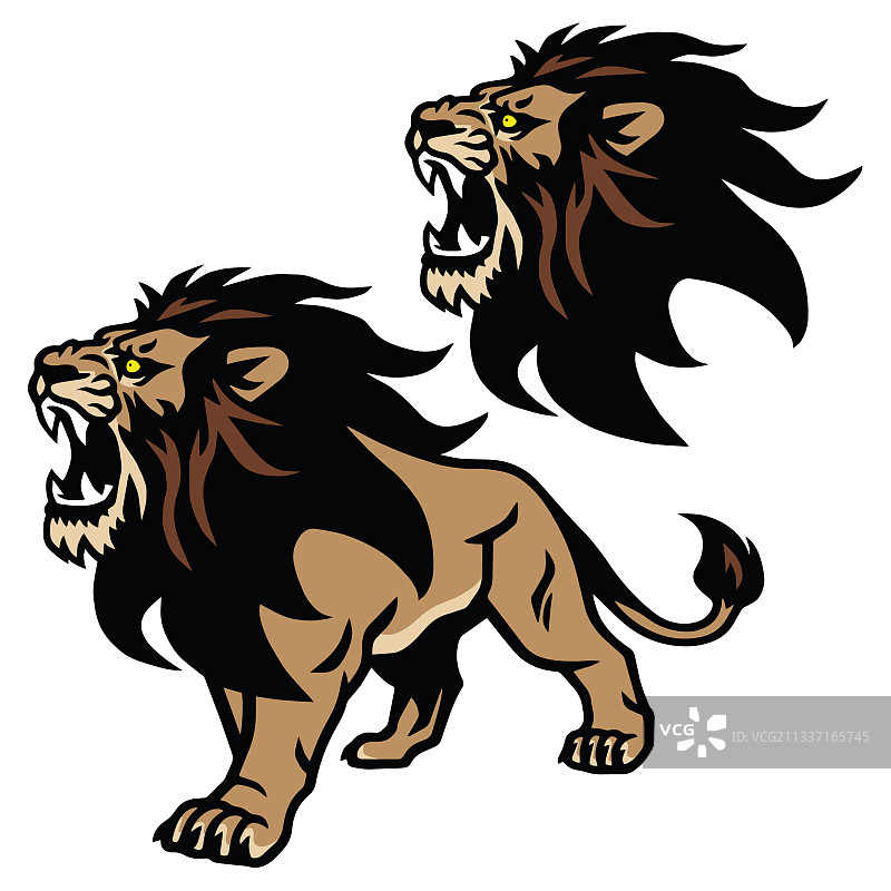 愤怒的狮子咆哮头像站立姿势合集图片素材