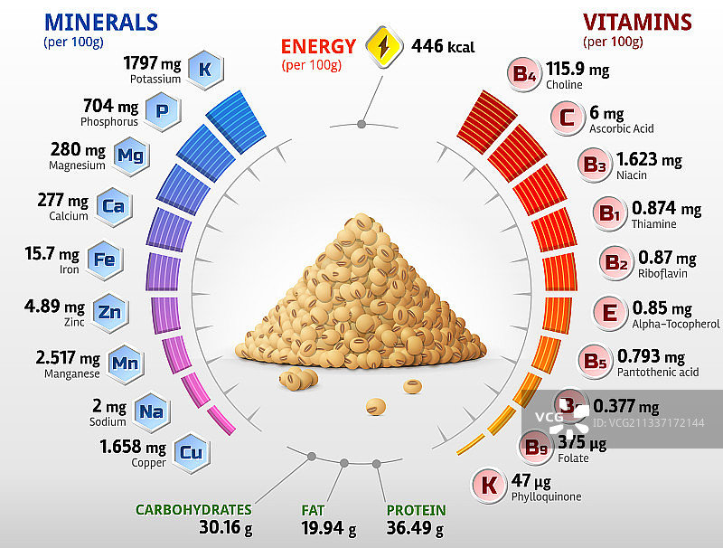 维生素和矿物质原料大豆图片素材