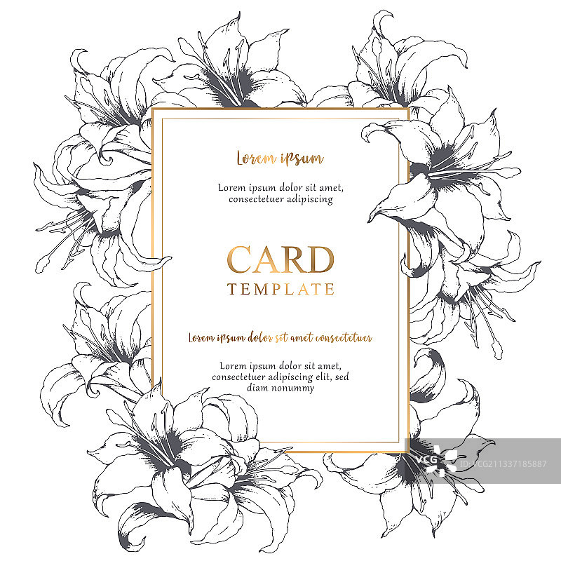 手绘灰色百合优雅花卉卡片图片素材