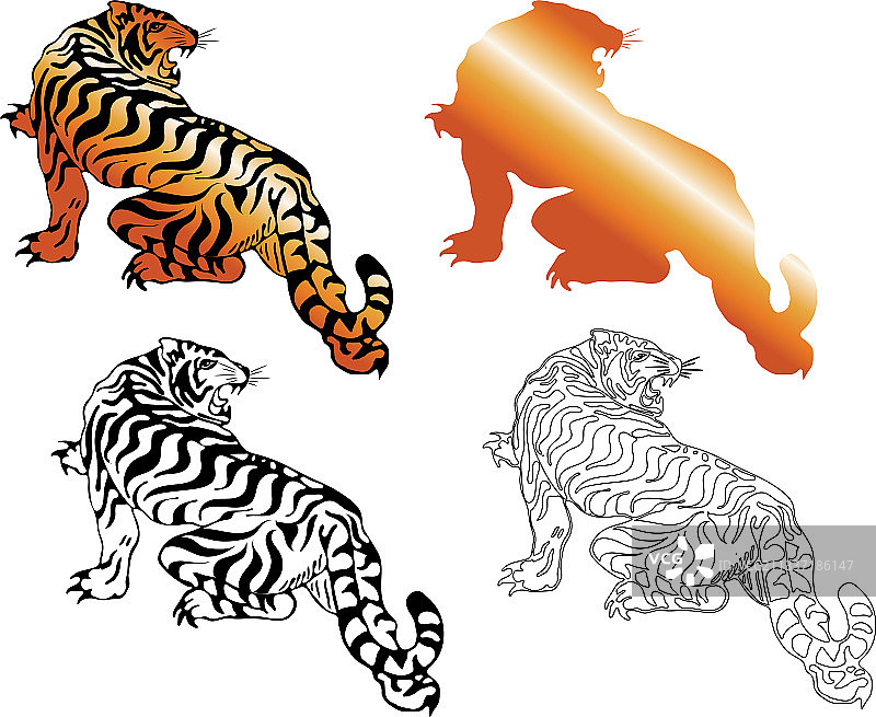 跳跃的老虎，白色背景图片素材