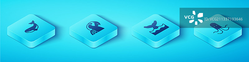 2.5D等距鲸鱼金刚鹦鹉章鱼banner图片素材