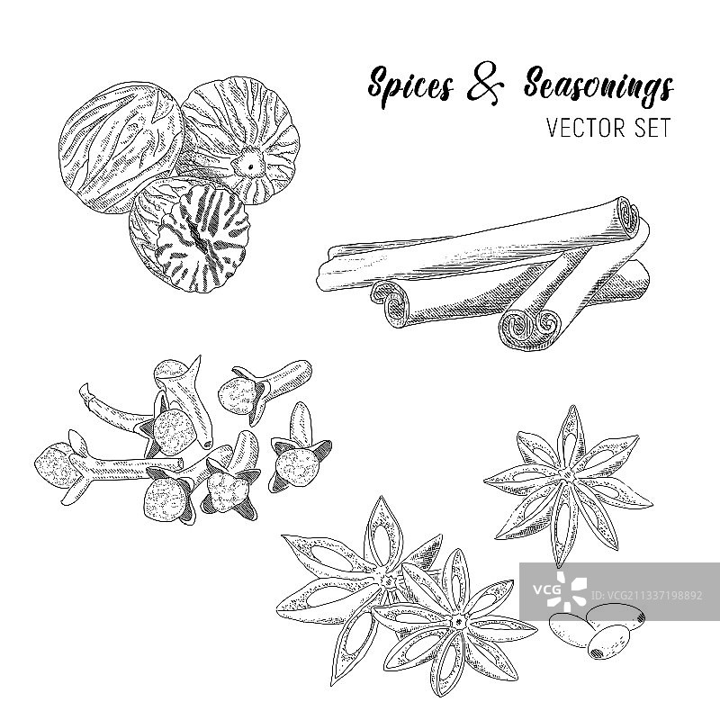 一套素描风格的香料图片素材