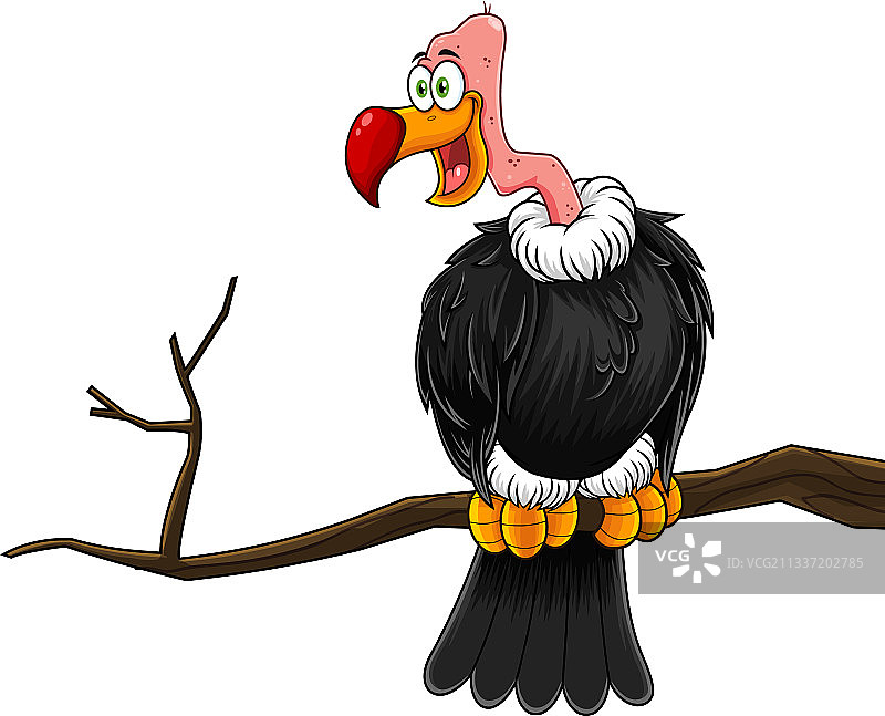 坐在树枝上的秃鹰卡通形象图片素材