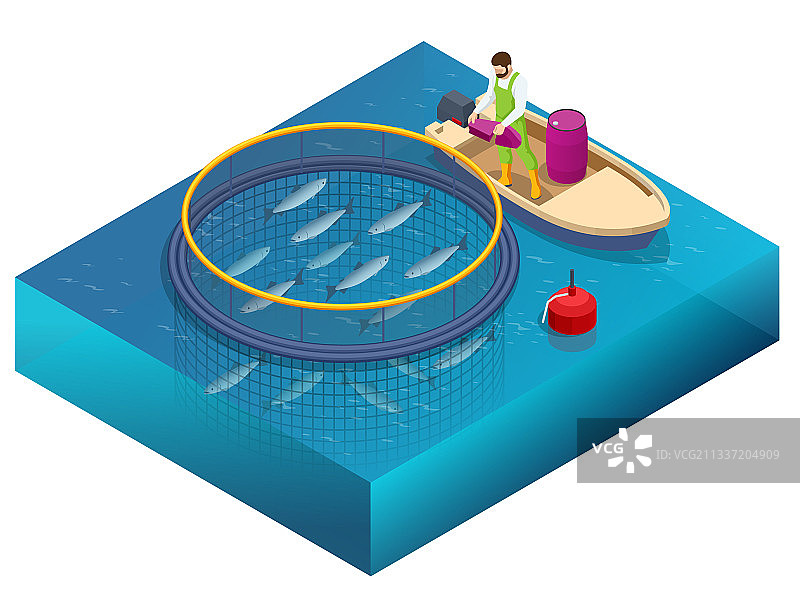 2.5D鳟鱼和鲑鱼养殖场图片素材