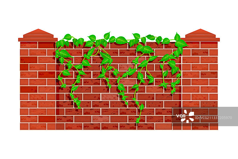 悬挂植物枝条的栅栏图片素材