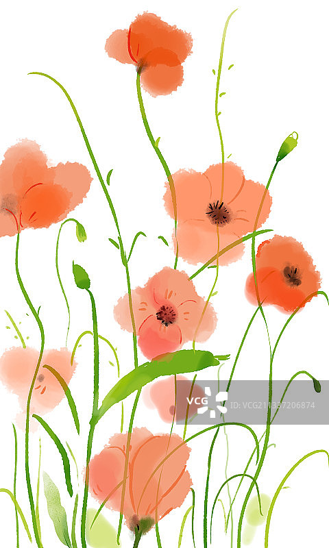 花草植物图片素材